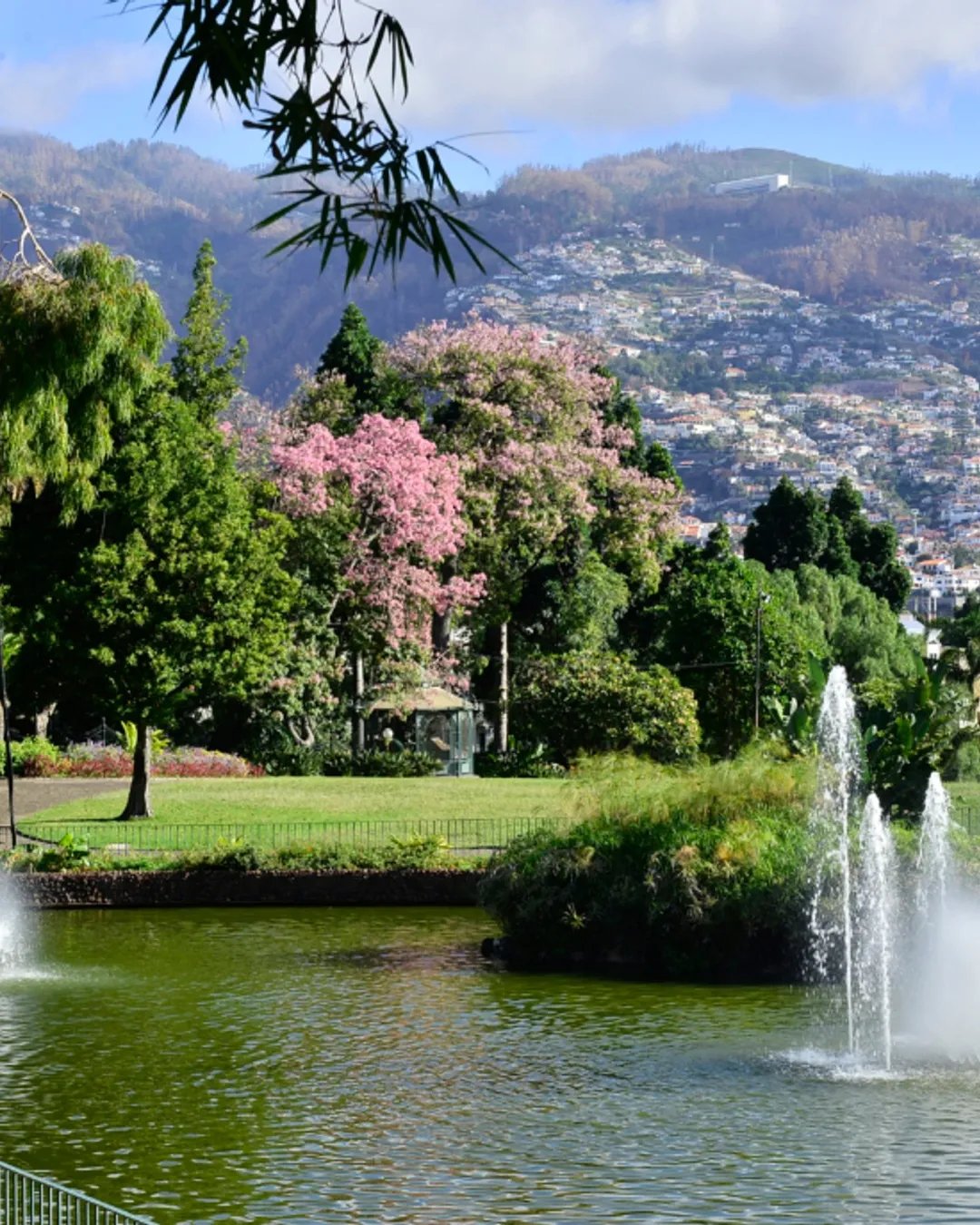 🌳 산타 카타리나 공원 (파르크 드 산타 카타리나)